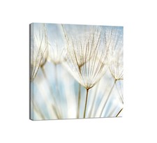 Canvashop Quadri moderni quadrati Fiori Cucina Quadro Stampa su tela canvas 