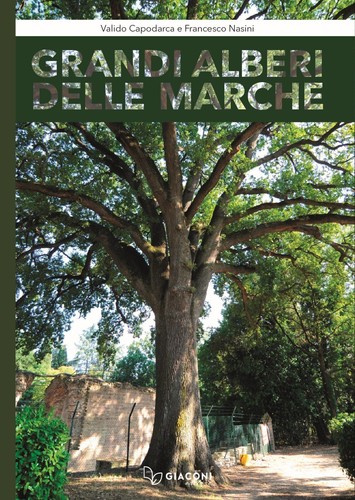 Grandi alberi delle - , marche