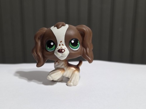 Autentico littlest pet shop - littlest,