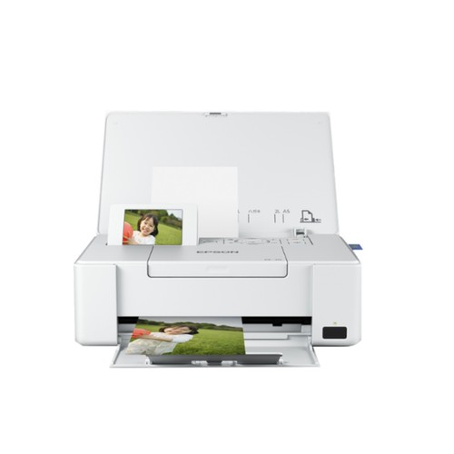 Epson picturemate 401 - picturemate, pm-401