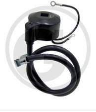 Bobina accensione trattorino