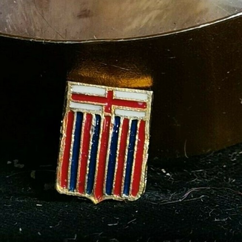 Pin distintivo brosche prova - brosche,