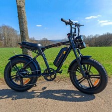 ENGWE M20 20 Pollici Bici