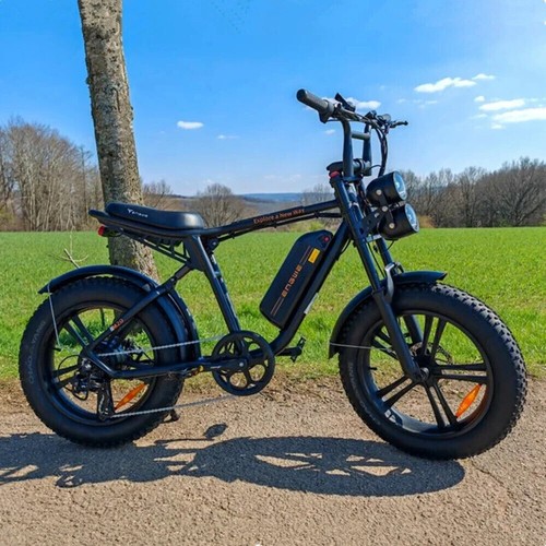 Engwe m20 pollici bici - 20,