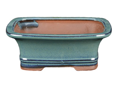 Vaso per bonsai - , rettangolare
