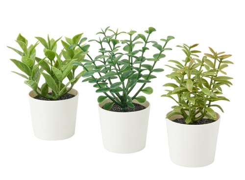 Ikea fejka artifi pianta - pianta, in