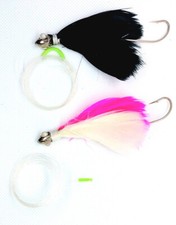 Kit da 2 Piume Pesca Traina