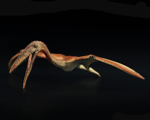 Vitae zhejiangopterus figura - vitae,