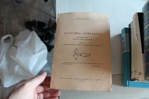 Anatomia comparata vol - anatomia,