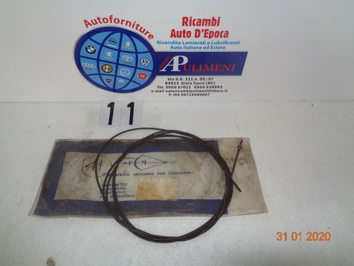 Cordina interna - cordina,