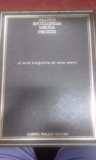 LE TAVOLE STRATIGRAFICHE DEL