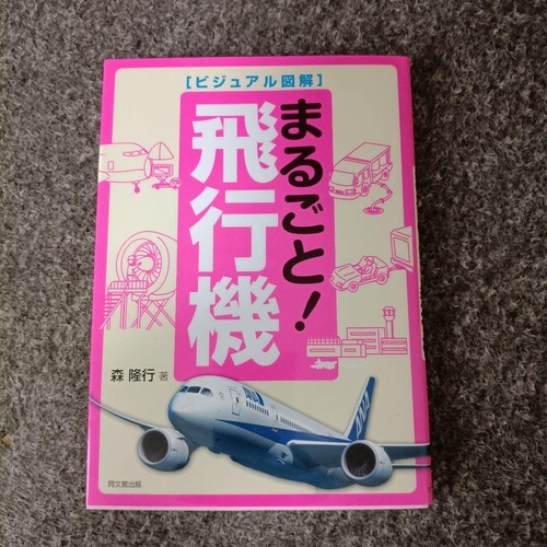 The whole aircraft visual - the,