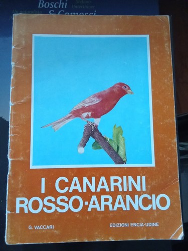Vaccari canarini rosso - g.,