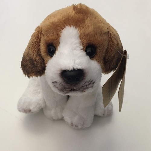 Nuovo peluche top cane todd - nuovo,