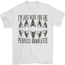 Squalo Denti Fossils Megalodon