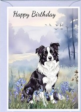 Biglietto compleanno border - compleanno,