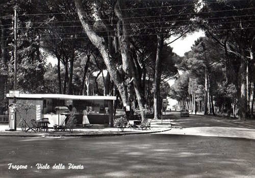 Fregene viale della - fregene, -viale