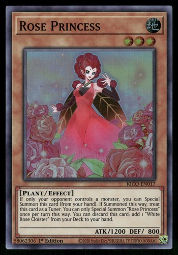 Rose princess super rara corte - rara,