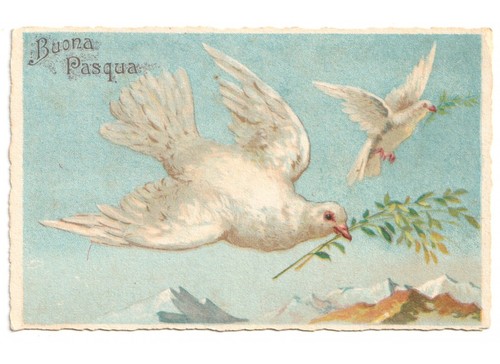 Non viaggiata antica - non,