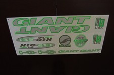 Adesivi giganti argento, verde