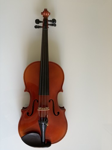Violino modello - 4/4,