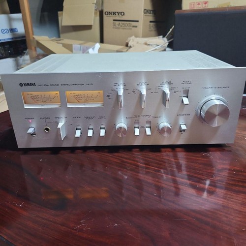 Amplificatore integrato audio