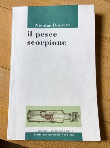 Pesce scorpione bouvier - pesce,