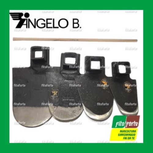 Zappa puglia angelo - puglia, bergamasco