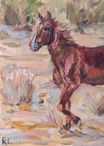 Dipinto olio originale aceo - originale,