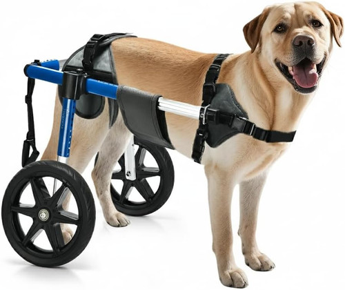 Sedia rotelle per cani - sedia, a