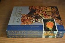 Nel Meraviglioso Regno degli