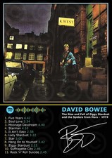 David Bowie - The Rise & Fall