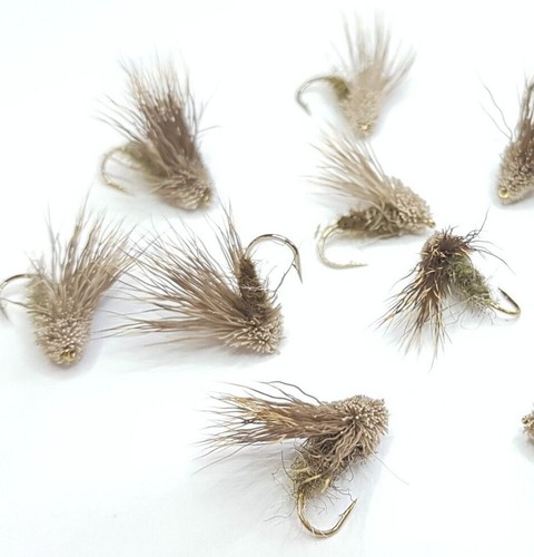 Streaking caddis sedge trota - sedge,