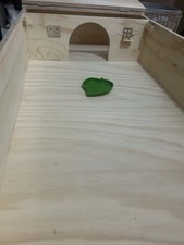 terrario tartarughe terra