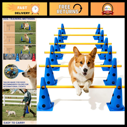 Backyard dog agility course - backyard,