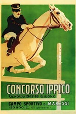 363093 Horse Show English