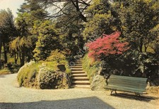 Cartolina Loveno di Menaggio