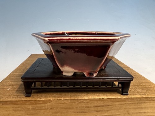 Vaso per bonsai - , tokoname
