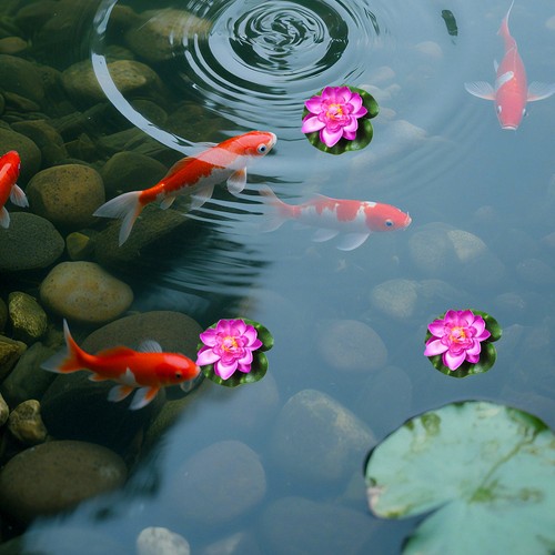 Pcs pond decoration fiori - 8,