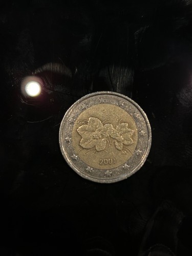 Moneta euro rara della - moneta,