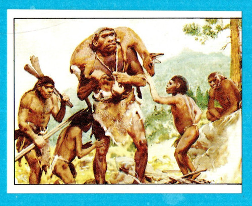 DINOSAURS/ANIMALI