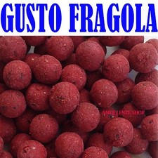 BOILES BOILE CARPFISHING FRAGOLA DIAM 20MM CARP FISHING PASTURA ESCHE AROMI 