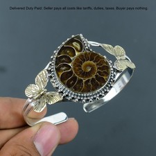 Affare Natale Ammonite Pietra