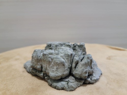 Bonsai suiseki bonseki - bonsai,