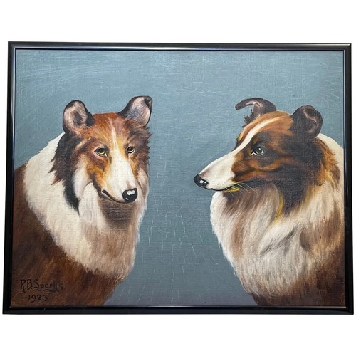 Dipinto olio ritratto cani - dipinto, a