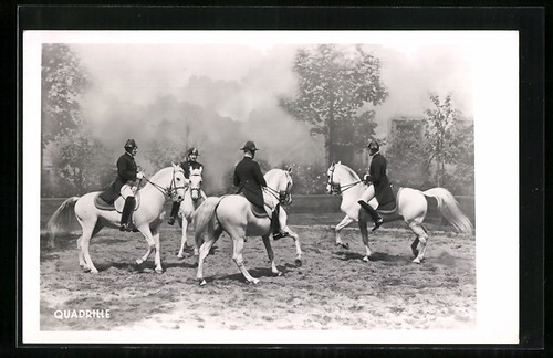 Dressage quadriglia - dressage:,