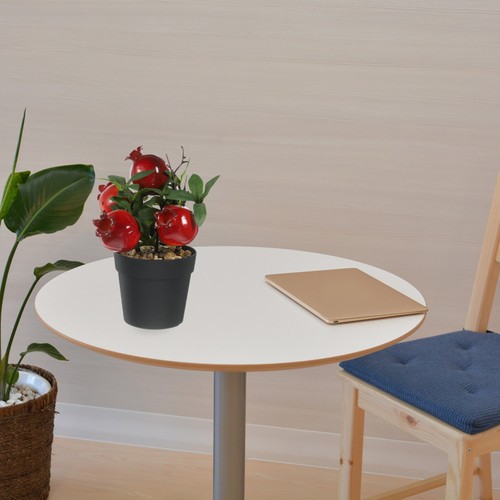 Decorazione bonsai piante - ,