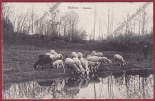 BIELLA COSTUMI e PASCOLI