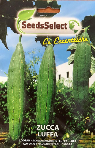 Semi zucca luffa cylindrica - luffa,