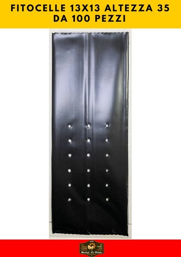 Fitocelle misura 13x13 altezza - misura,